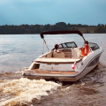 czarter ze sternikiem na motorówce SEA RAY 190SPX